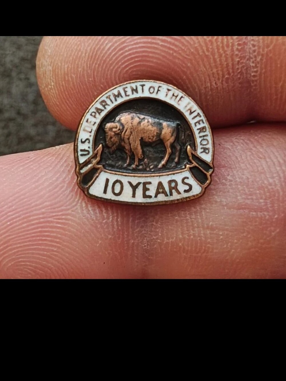 1960s/70s U.S. Department of The Interior 10-Year Service Gold Tone Enamel Pin.